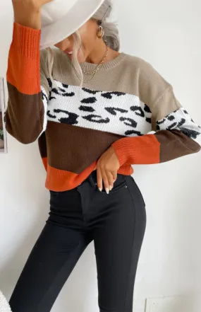 Women's Round Neck Colour Contract Jumper With Leopard Print Detail